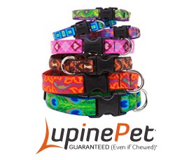 Originals Designer Pattern Collars. Available for Small, Medium & Large Dogs by Lupine Pet