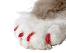 Soft Claws® Nail Caps for Cats and Dogs by Smart Practice