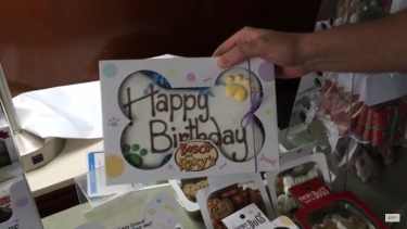 Products from ECRM's Pet EPPS in Chicago ran the gamut from traditional toys and treats to dog beer and declawing alternatives for cats -- and even pet birthday cakes -- as these videos show.