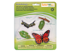 Hand-painted, realistic, best selling life cycle by Safari LTD