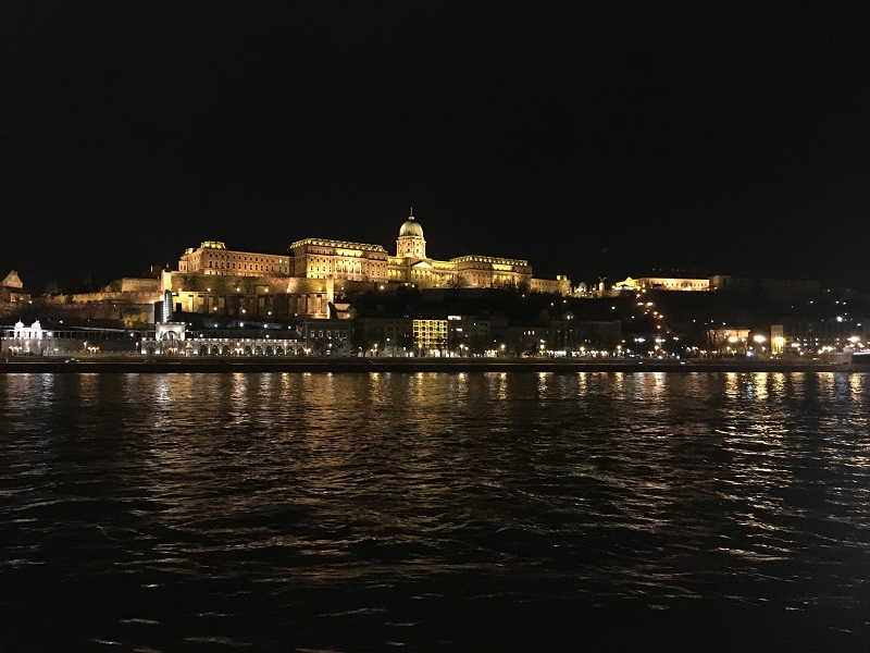 Buda Castle, right across the river from the Euro Beauty session